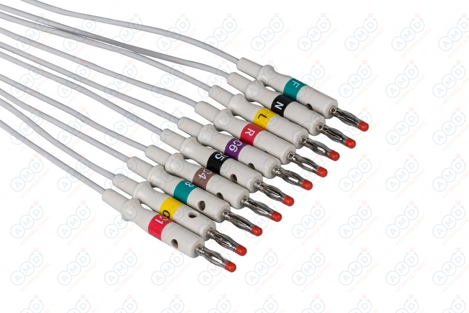 2026-03-03_11-17_1 2026-03-03_11-17_1